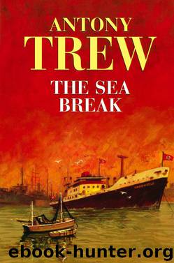 The Sea Break by Antony Trew