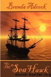 The Sea Hawk by Brenda Adcock