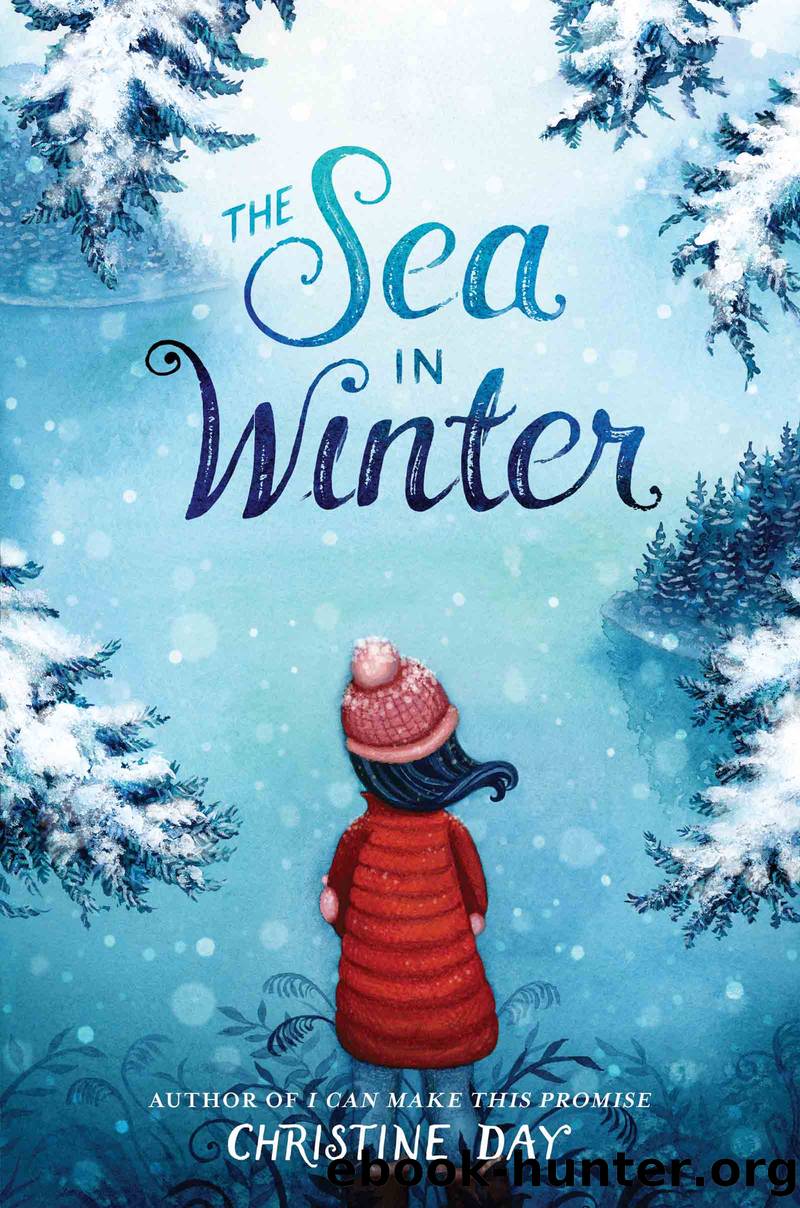 The Sea in Winter by Christine Day