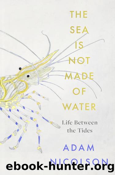 The Sea is Not Made of Water by Adam Nicolson