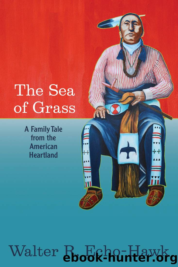 The Sea of Grass by Walter R Echo-Hawk