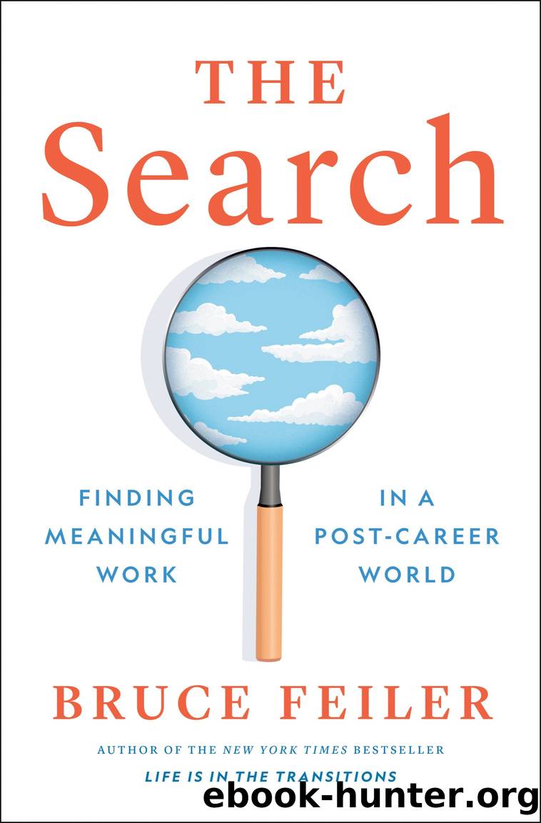 The Search by Bruce Feiler