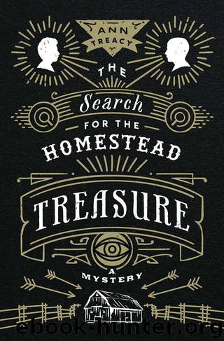 The Search for the Homestead Treasure: A Mystery by Treacy Ann