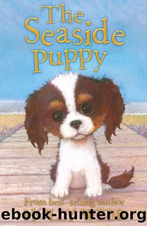 The Seaside Puppy by Holly Webb