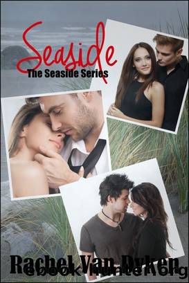 The Seaside Series by Rachel Van Dyken
