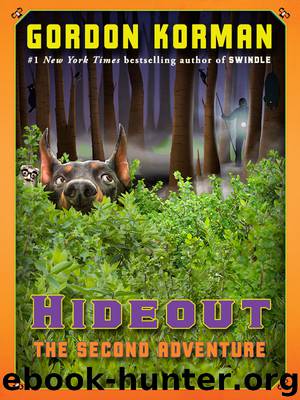 The Second Adventure by Gordon Korman