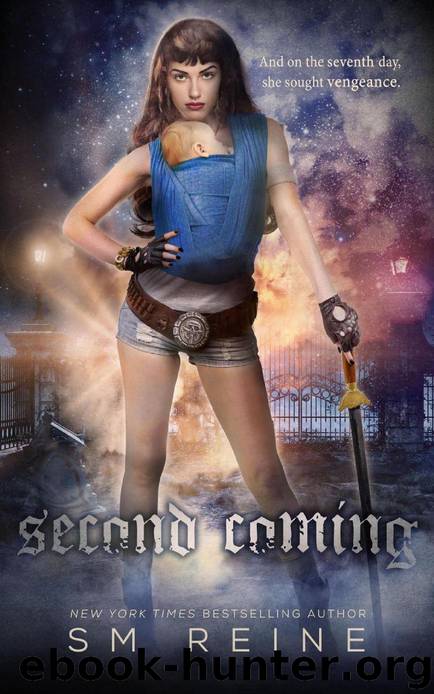 The Second Coming by S. M. Reine
