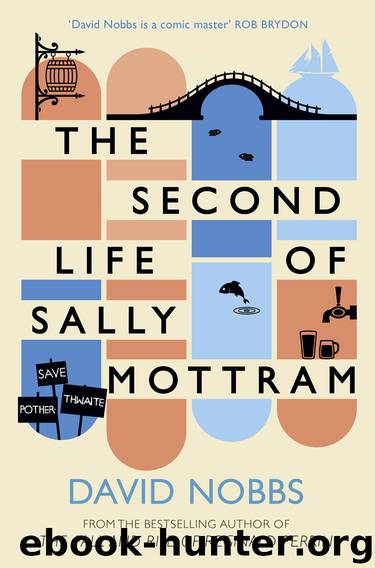 The Second Life of Sally Mottram by David Nobbs