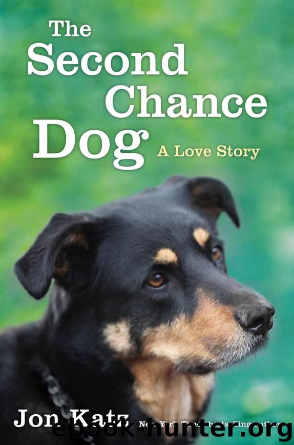 The Second-Chance Dog by Jon Katz
