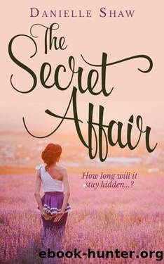 The Secret Affair by Shaw Danielle