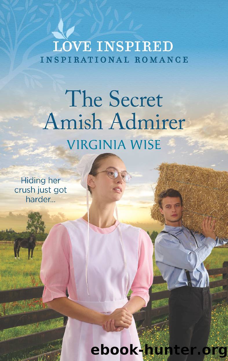 The Secret Amish Admirer by Virginia Wise