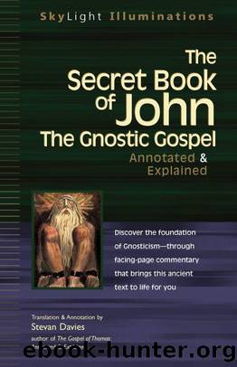The Secret Book of John: The Gnostic GospelâAnnotated & Explained (Skylight Illuminations) by Stevan Davis