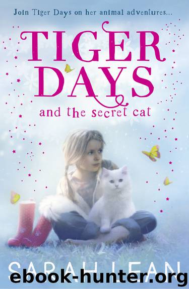 The Secret Cat by Sarah Lean
