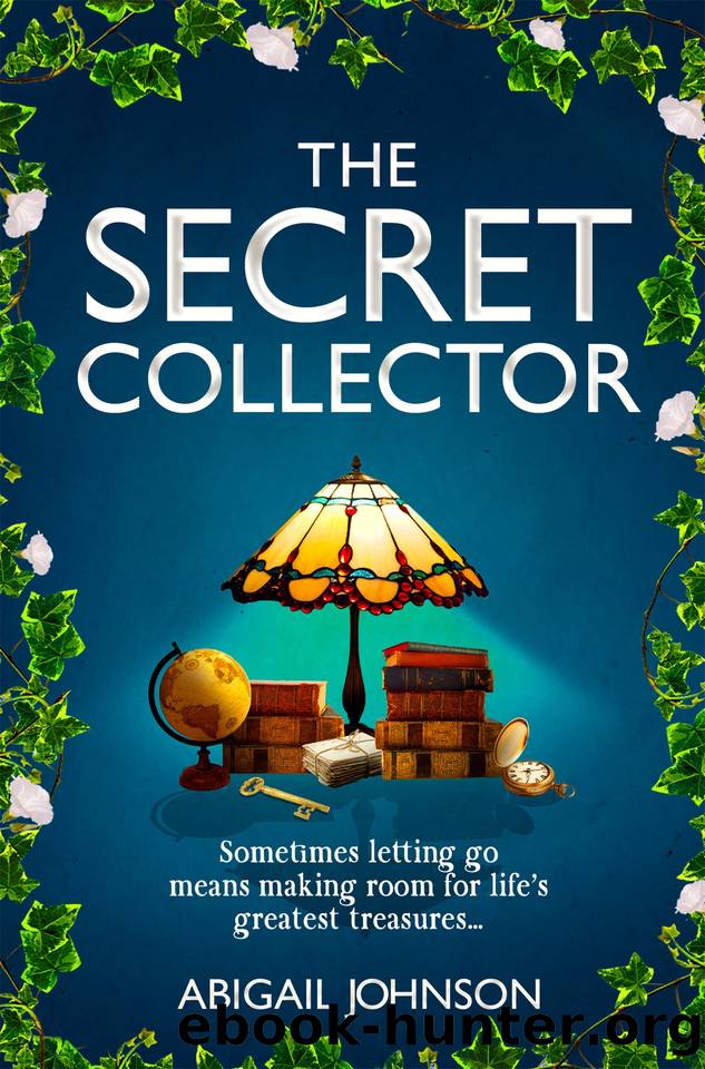 The Secret Collector by Abigail Johnson
