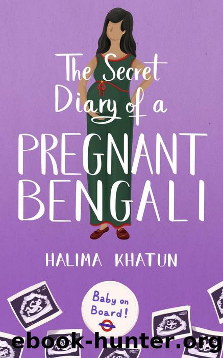 The Secret Diary of a Pregnant Bengali by Halima Khatun