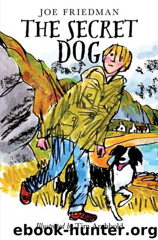 The Secret Dog by Joe Friedman