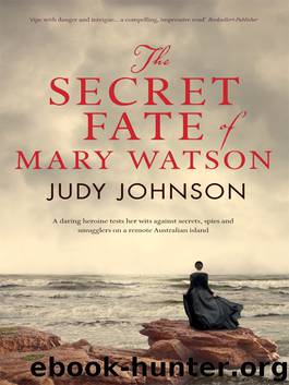 The Secret Fate of Mary Watson by Judy Johnson