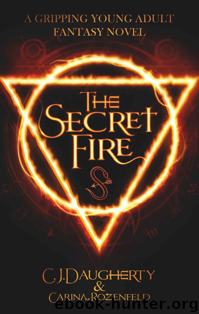 The Secret Fire by Daugherty C.J. & Rozenfeld Carina