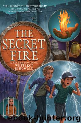 The Secret Fire by Whitaker Ringwald