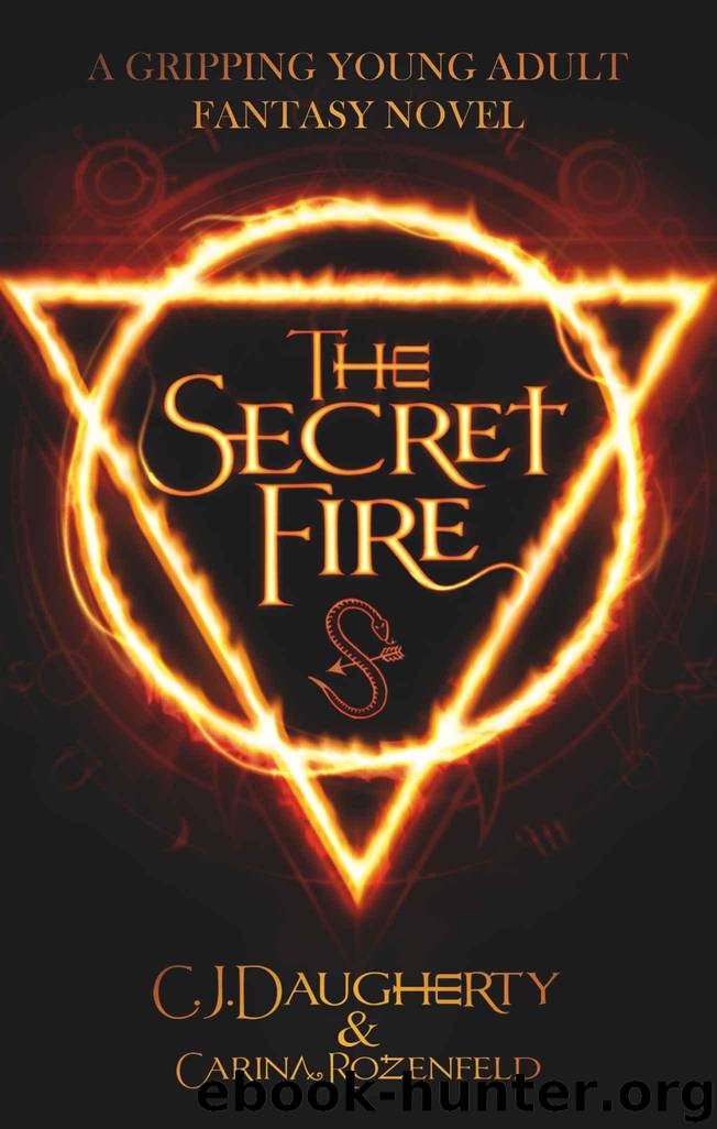 The Secret Fire: A gripping Young Adult Fantasy novel (The Alchemist Chronicles teen series Book 1) by C.J. Daugherty & Carina Rozenfeld