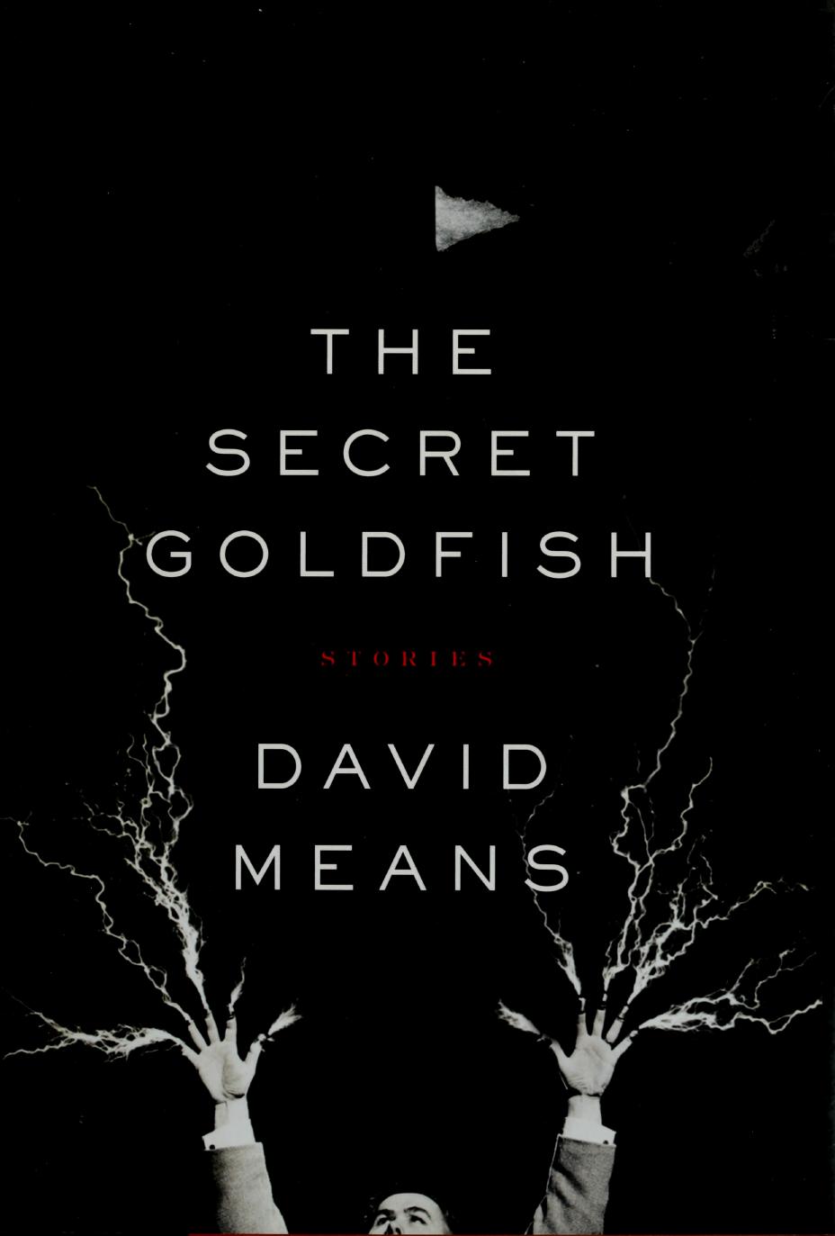 The Secret Goldfish by David Means