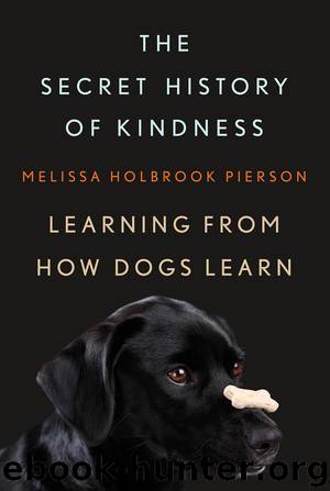 The Secret History of Kindness by Melissa Holbrook Pierson