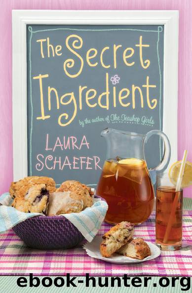 The Secret Ingredient by Laura Schaefer