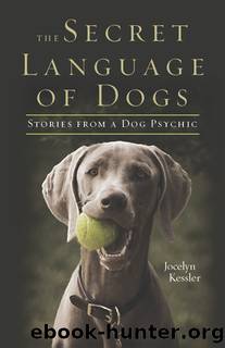 The Secret Language of Dogs by Jocelyn Kessler