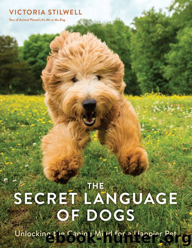 The Secret Language of Dogs by Victoria Stilwell