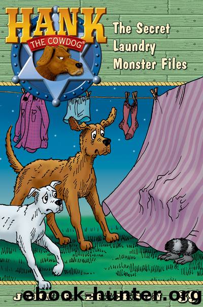 The Secret Laundry Monster Files by John R. Erickson