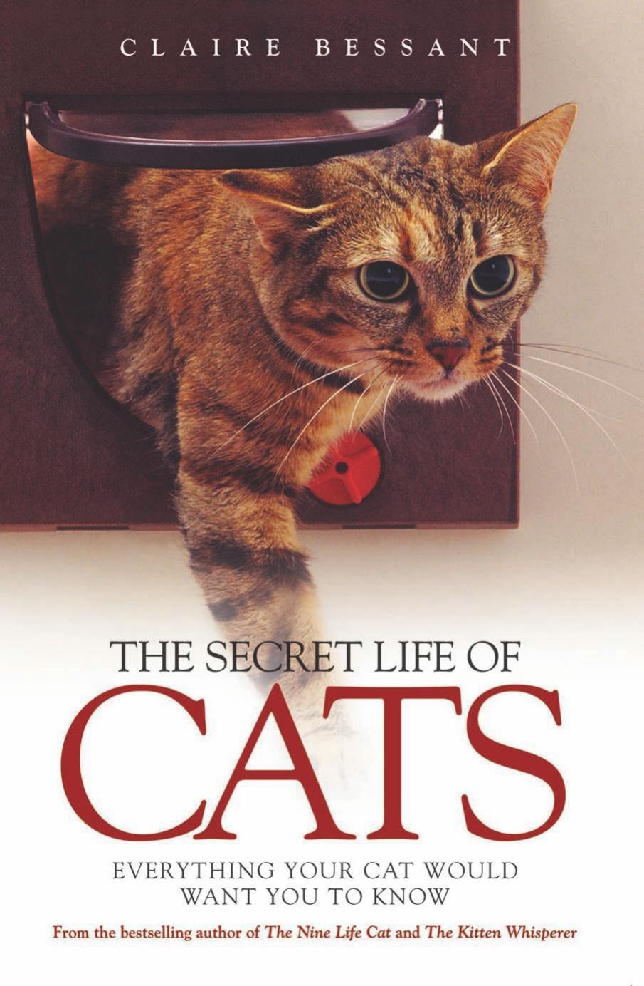 The Secret Life of Cats: Everything You Cat Would Want You to Know by Unknow