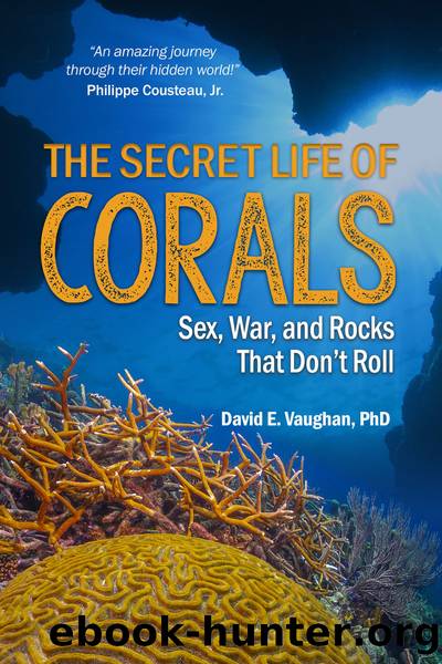 The Secret Life of Corals by David E. Vaughan;