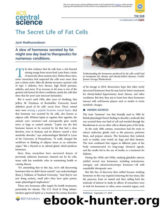 The Secret Life of Fat Cells by Jyoti Madhusoodanan