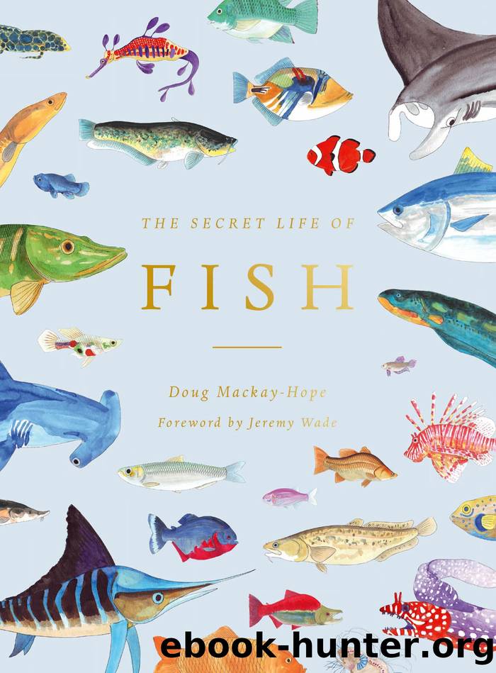 The Secret Life of Fish: The Astonishing Truth About Our Aquatic Cousins by Doug Mackay-Hope