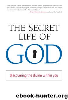 The Secret Life of God by Rabbi David Aaron