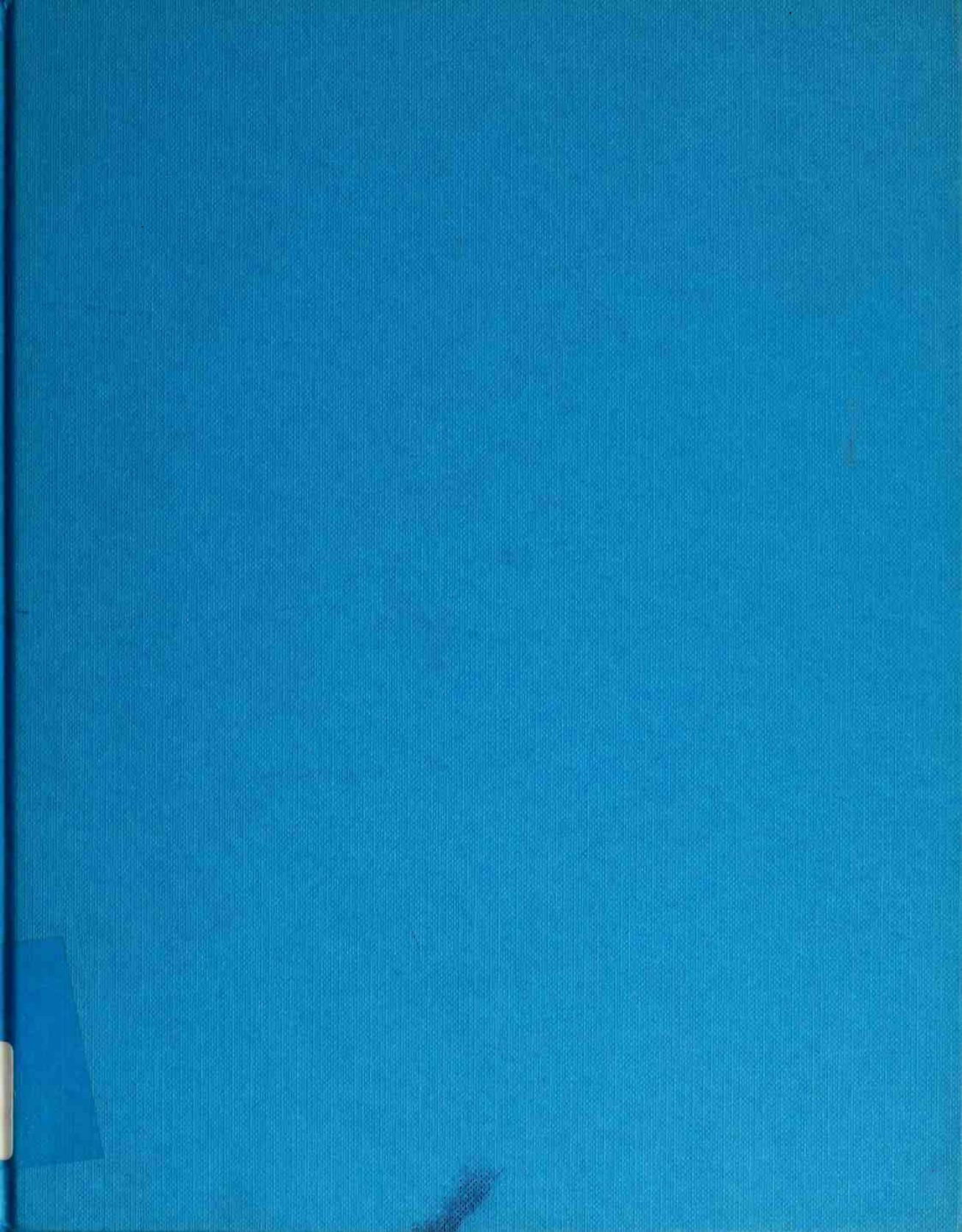 The Secret Life of Paintings by Richard Foster Pamela Tudor-Craig