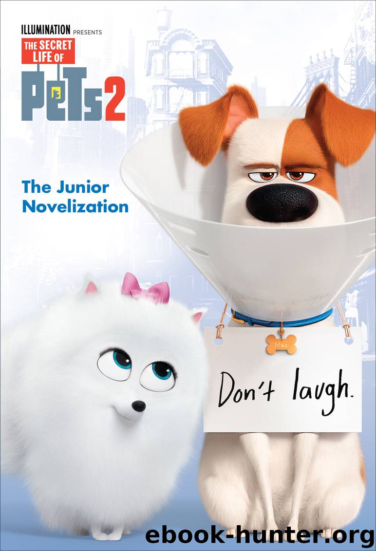 The Secret Life of Pets 2 Junior Novelization (The Secret Life of Pets 2) by David Lewman