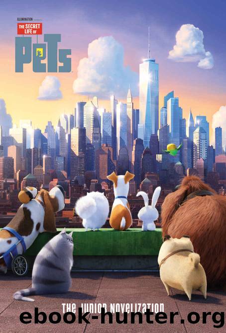 The Secret Life of Pets: Junior Novelization by David Lewman