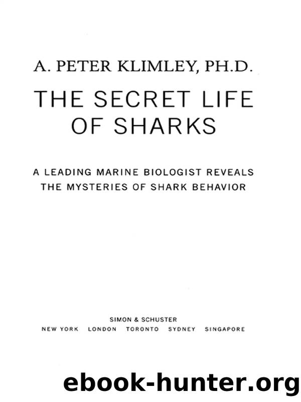 The Secret Life of Sharks by A. Peter Klimley