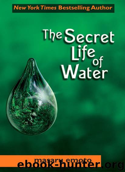 The Secret Life of Water by Masaru Emoto