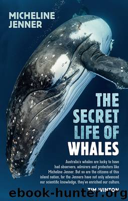 The Secret Life of Whales by Micheline Jenner