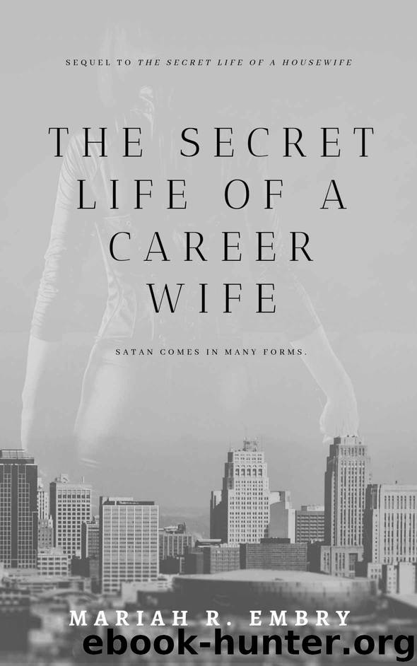 The Secret Life of a Career Wife by Mariah R Embry