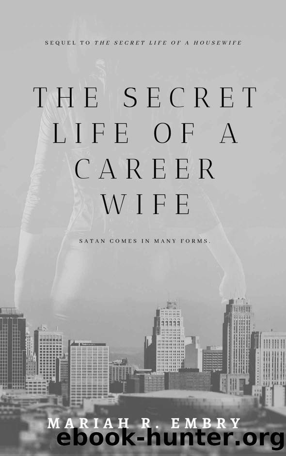 The Secret Life of a Career Wife by Mariah R. Embry