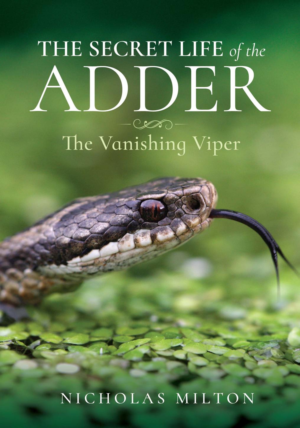 The Secret Life of the Adder by Nicholas Milton