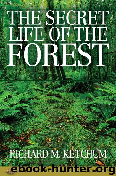 The Secret Life of the Forest by Richard M. Ketchum