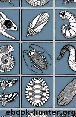 The Secret Life of the Panda by Nick Jackson