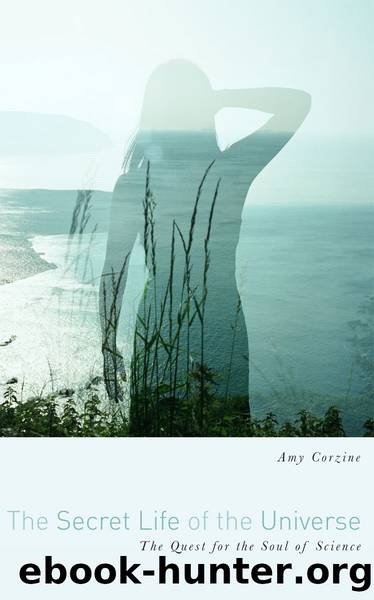 The Secret Life of the Universe by Amy Corzine