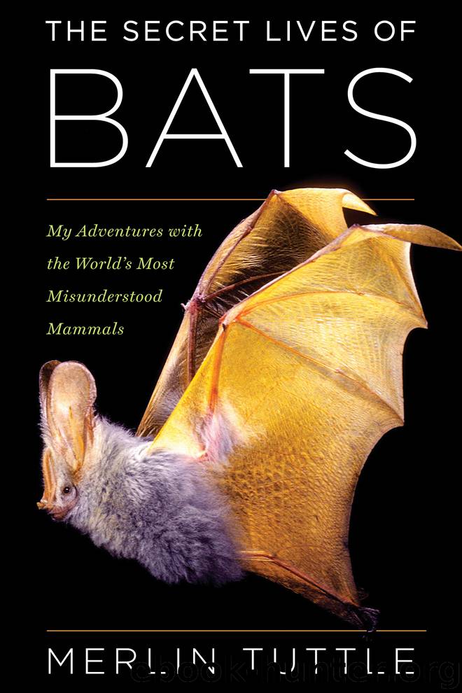 The Secret Lives of Bats by Merlin Tuttle