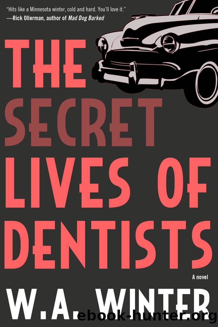 The Secret Lives of Dentists by W.A. Winter