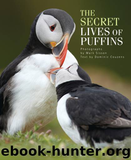 The Secret Lives of Puffins by Dominic Couzens & Dominic Couzens & Mark Sisson